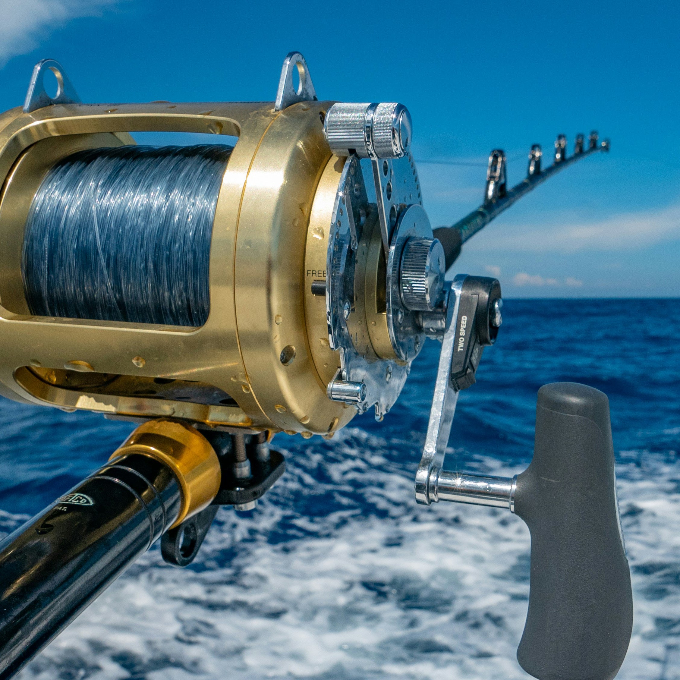 ¿Quieres ganar un torneo de pesca? Empieza con los anzuelos correctos | Gutiérrez Rizo