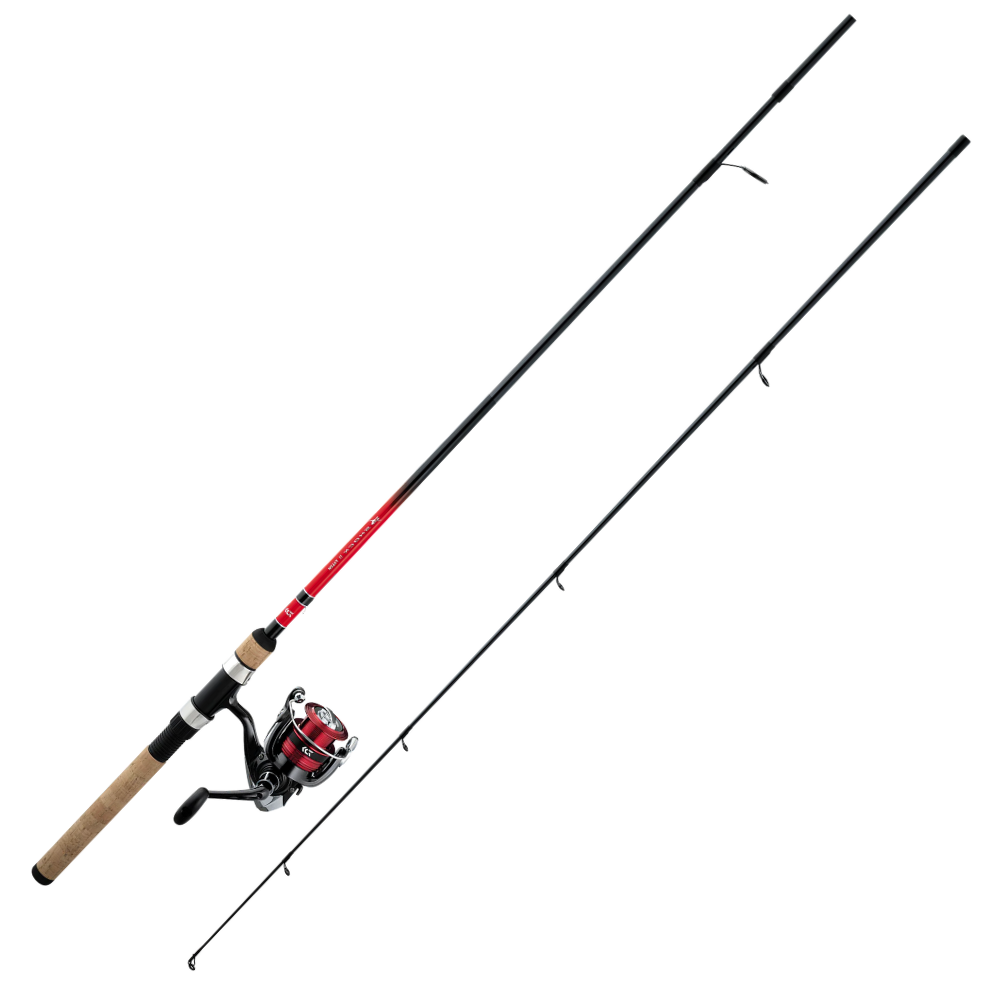 Combo Daiwa D-Shock II Spinning