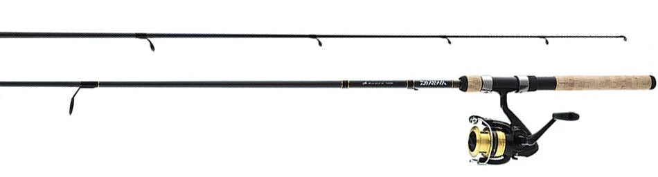 Combo Daiwa D-Shock -1BB Spinning