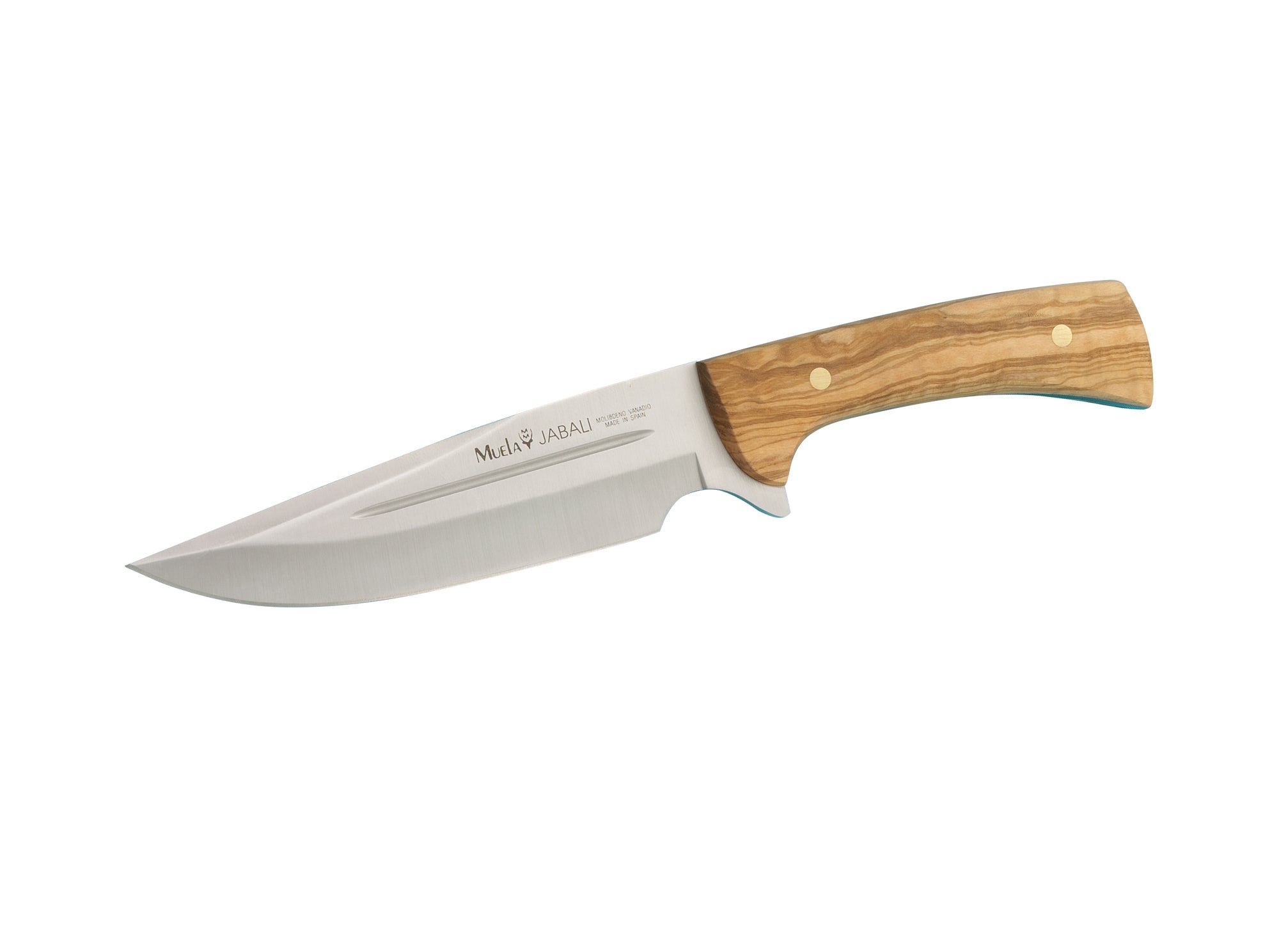 Cuchillo Muela Jabali-17 OL