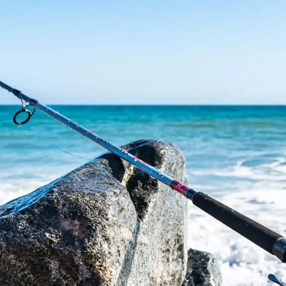 Caña Daiwa Team Daiwa