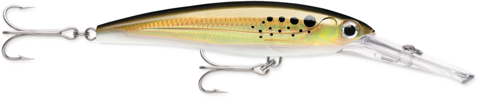 Señuelo Rapala X-Rap Magnum