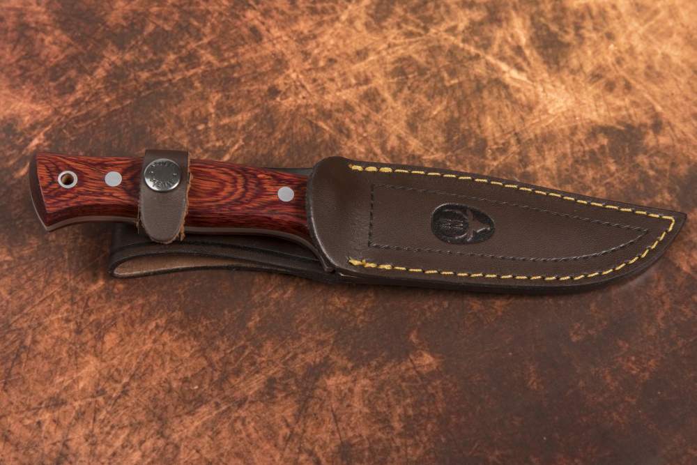 Cuchillo Muela Pointer-12R