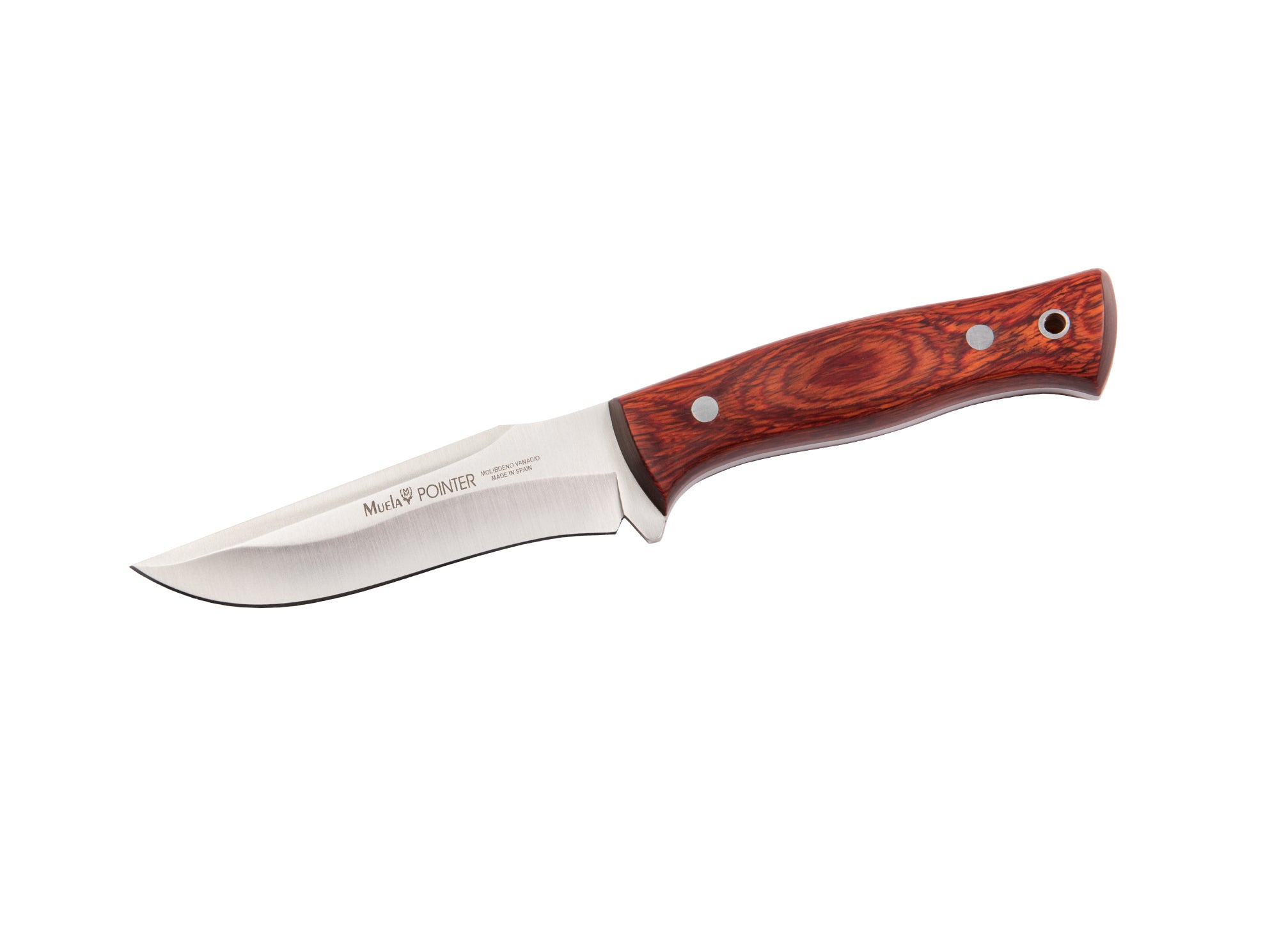 Cuchillo Muela Pointer-12R